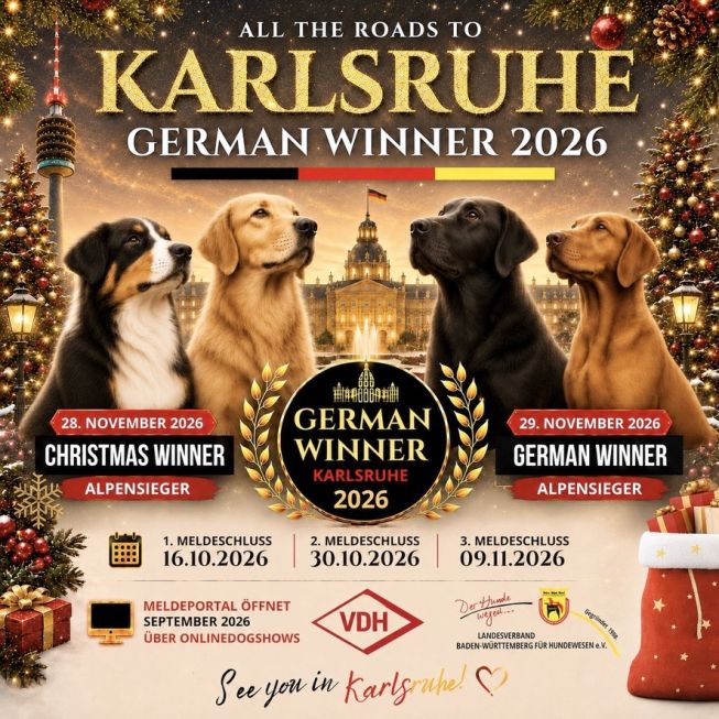 Karlsruhe German Winner 2026